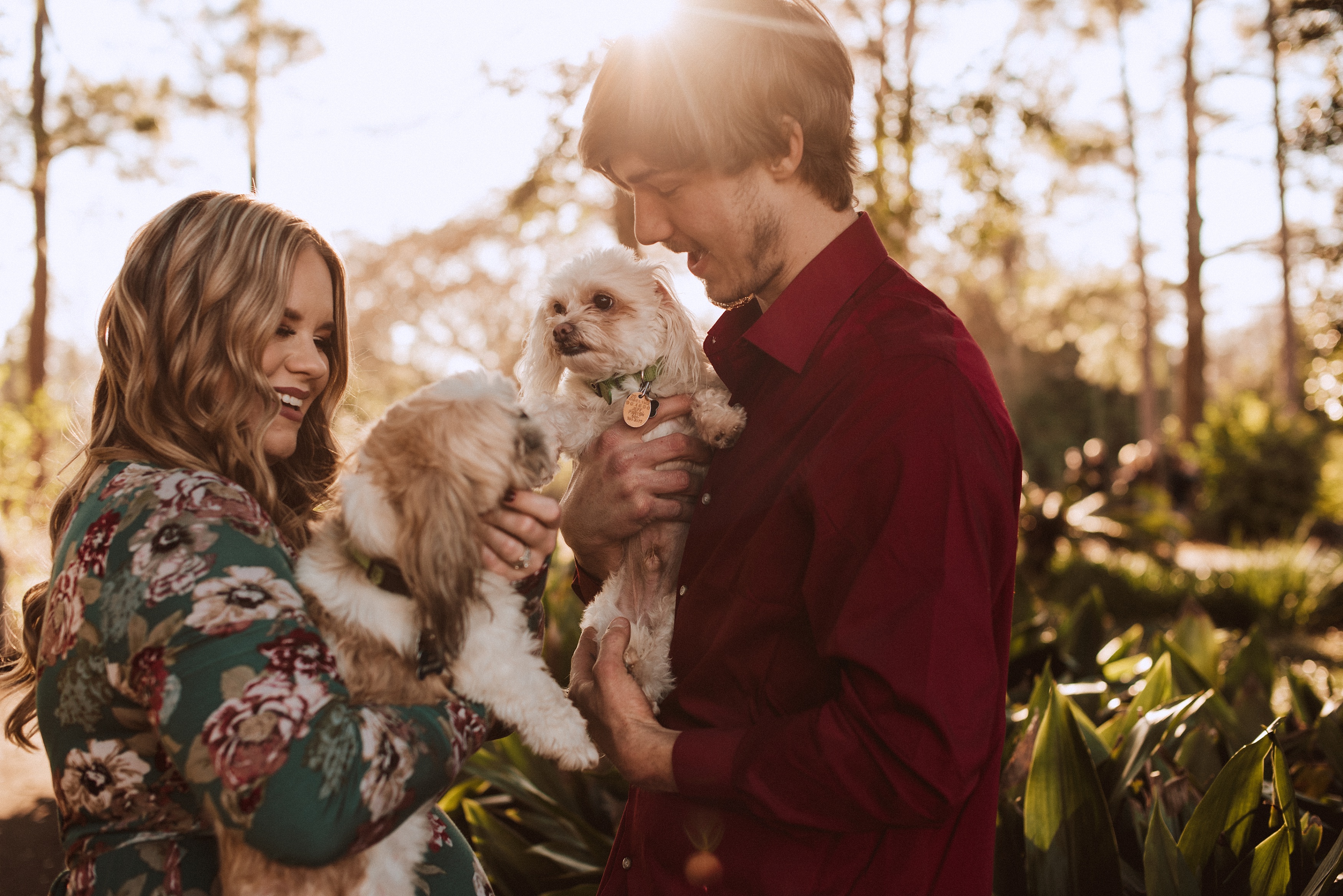 maternity session with pets